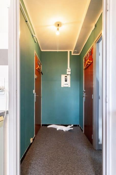 Double Appartement, Saint Michel, Parking, Wifi Tolosa Esterno foto
